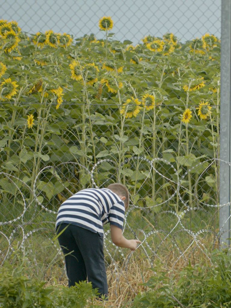 Filippo Berta, One by One, 2021, still da 4K Video 2160p, confine tra tra Croazia e Ungheria