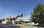 “In Limine” di Giuseppe Penone. Photo Studio Gonella Courtesy GAM Torino