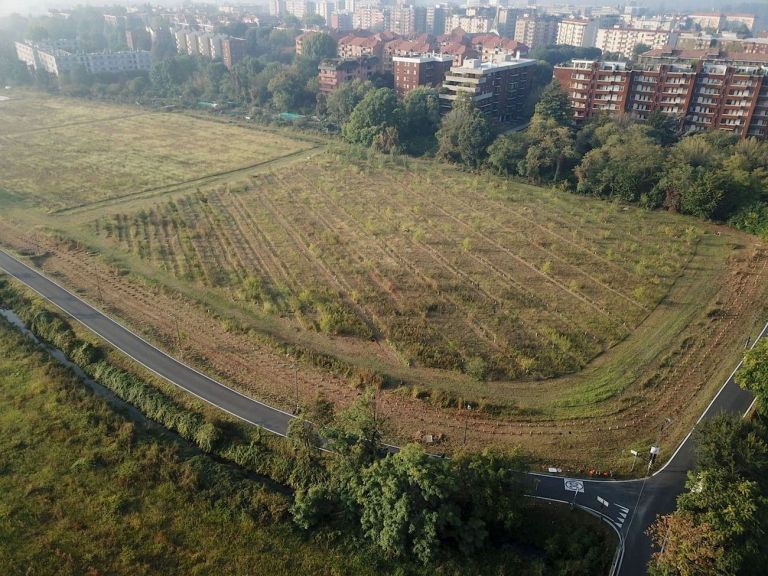 Tra campagna e città. Soulfood Forestfarms