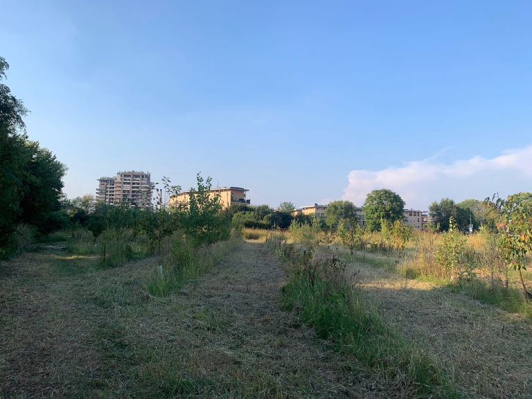 Tra campagna e città. Soulfood Forestfarms. Photo Claudia Zanfi