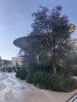 Dubai Expo, padiglione Sostenibilità, foto Giorgia Basili