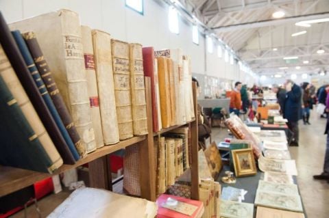 Cesena, speciale libri