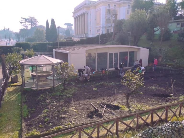 Gli studenti in vigna nei giardini di Villa Giulia a Roma