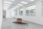 Lothar Baumgarten. Exhibition view at Galleria Franco Noero, Torino 2022