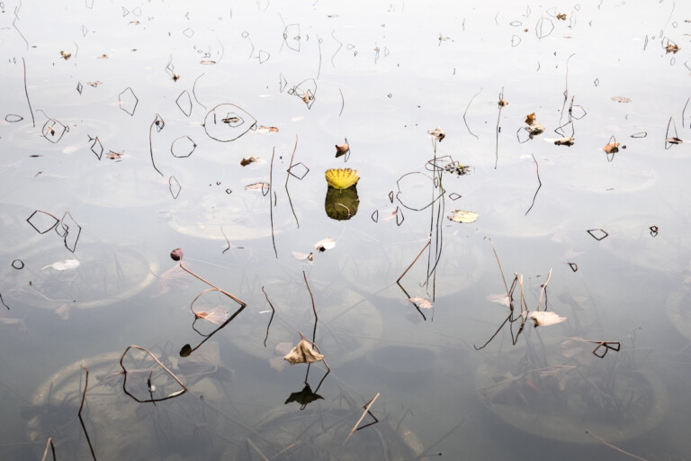 Camilla Ferrari, China, Beijing. November, 2018. At Houhai Lake, old couples and a few lone people were taking a walk. Suddenly the silence was broken by the sound of small fish swimming up to the surface of the lake, creating beautiful, little popping bubbles, breaking the perfect painting created by the reflections on the surface of the water.