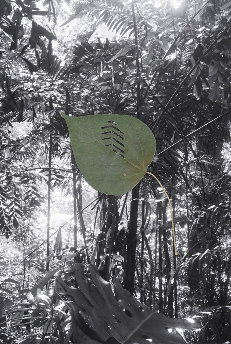 Monica Ursina Jäger, Shifting Topographies.19, 2018. Museo Villa dei Cedri, Bellinzona