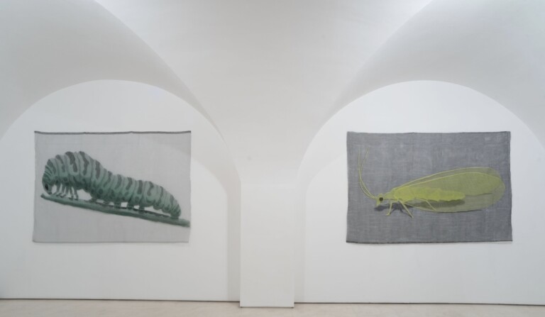 Hilario Isola. Rurale. Exhibition view at Galleria Valentina Bonomo, Roma 2022