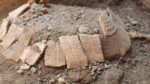 Testuggine Pompei bottega terme stabiane 2 La tartaruga ritrovata a Pompei: il Direttore Gabriel Zuchtriegel racconta la scoperta