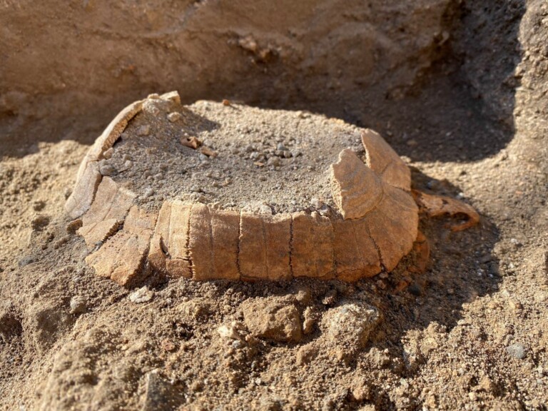 Testuggine Pompei bottega terme stabiane 3 La tartaruga ritrovata a Pompei: il Direttore Gabriel Zuchtriegel racconta la scoperta