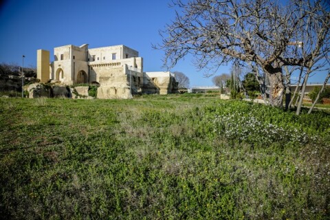 Masseria Tagliatelle