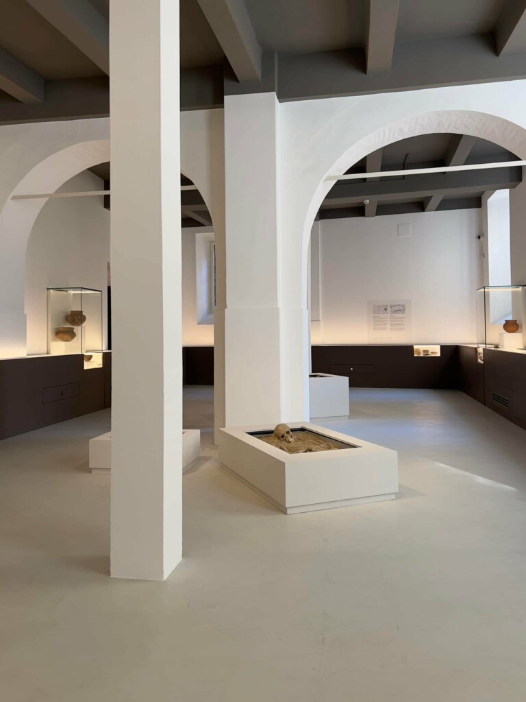 L'allestimento del nuovo Museo Oliveriano di Pesaro