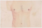 "Project for Projection, Plaster cast, Slides (Progetto per proiettore, calco di gesso, diapositiva)," 1972, by Giuseppe Penone. Hair and pastel on paper, 17 1/16 x 26 5/16 inches (43.3 x 66.8 cm). Gift of the artist in honor of Dina Carrara, 2019. Image courtesy Philadelphia Museum of Art, 2020.