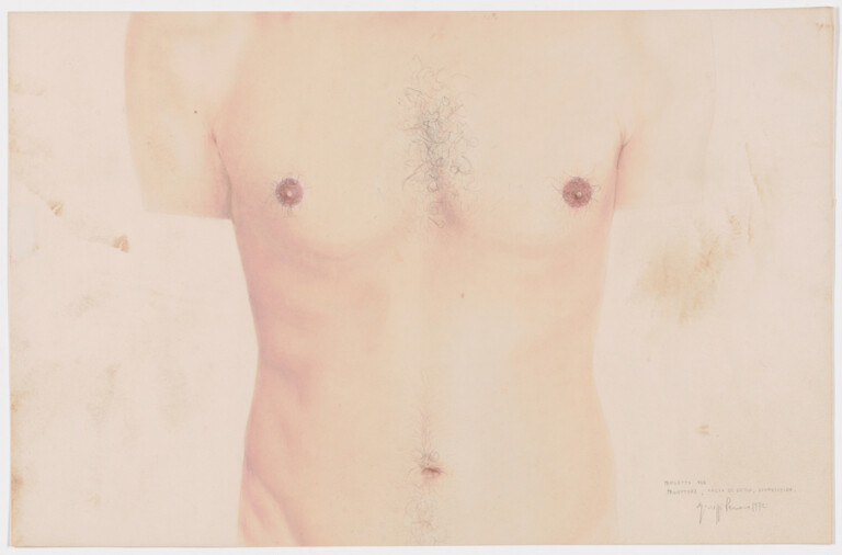 "Project for Projection, Plaster cast, Slides (Progetto per proiettore, calco di gesso, diapositiva)," 1972, by Giuseppe Penone. Hair and pastel on paper, 17 1/16 x 26 5/16 inches (43.3 x 66.8 cm). Gift of the artist in honor of Dina Carrara, 2019. Image courtesy Philadelphia Museum of Art, 2020.