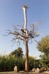 Giuseppe Penone, Identità, Photo © Antonio Maniscalco. Collection: the artist.