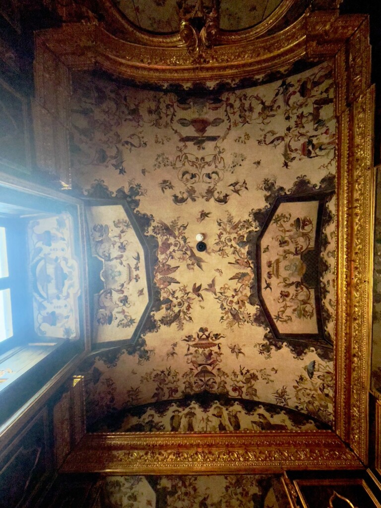 I Gabinetti di Palazzo Graneri a Torino
