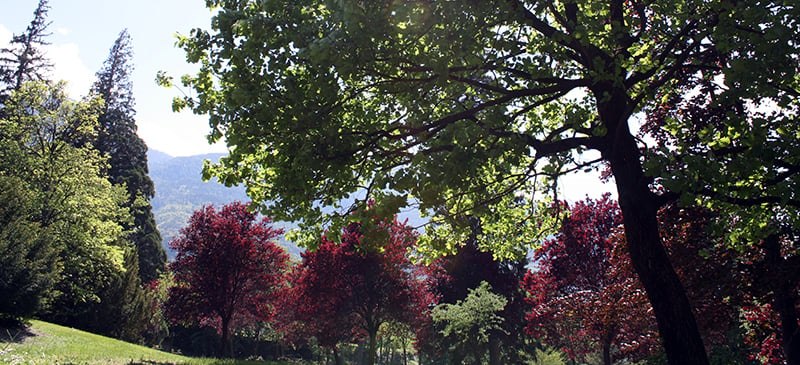 Il parco del Castello Gamba