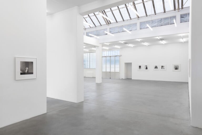 Robert Mapplethorpe. Installation view at Galleria Franco Noero, Torino, 2022. Photo © Sebastiano Pellion di Persano. Courtesy Galleria Franco Noero