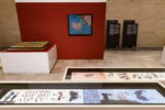 Animali, Vegetali, Rocce e Minerali: le Collezioni ISPRA > Verso un museo multispecie, Museo delle Civiltà di Roma. Ph. Giorgio Benni