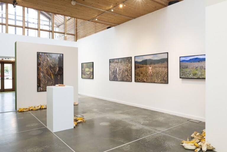 Regina José Galindo, Tierra. Installation view at PAV - Parco Arte Vivente, Torino, 2022. Photo Francesca Cirilli, courtesy PAV - Parco Arte Vivente, Torino