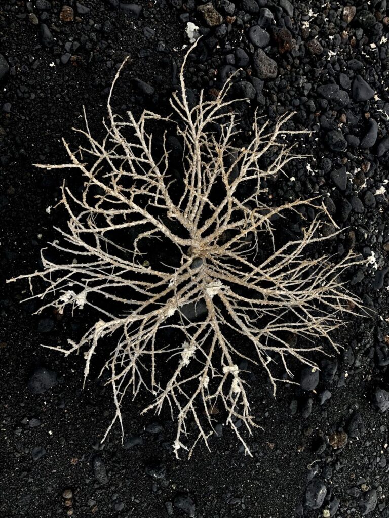 Lanzarote, foto Ramon Moro