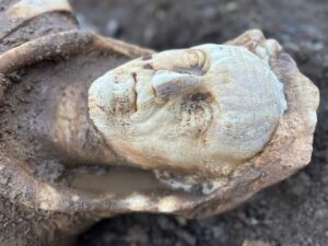 Scoperta sulla Via Appia Antica. Ritrovata una statua di Ercole a grandezza naturale