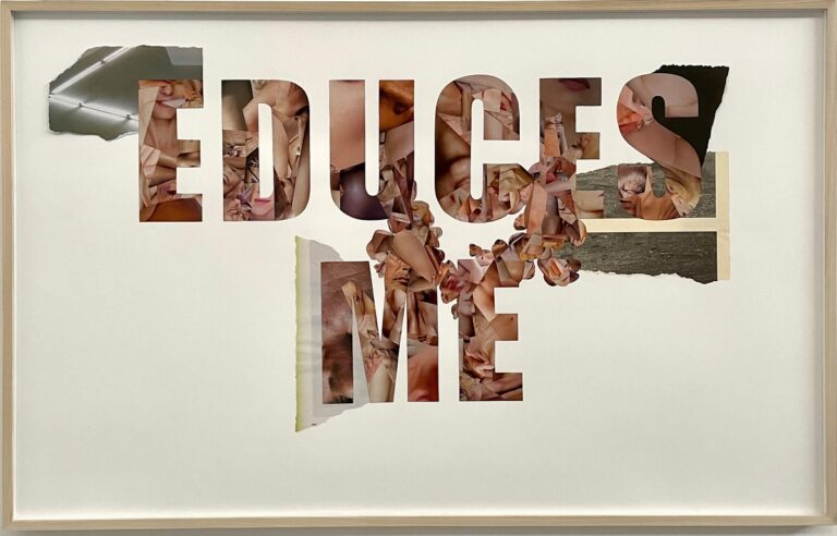 Dario Neira, Educes me, 2022, collage on paper, 70x120