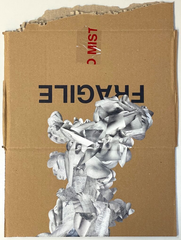 Dario Neira, Fragile (skinscape), 2023, mixed media, collage on cardboard, 46x35 cm