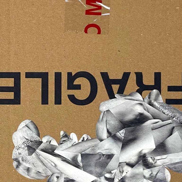 Dario Neira, Fragile (skinscape), 2023, mixed media, collage on cardboard, 46x35 cm, particolare