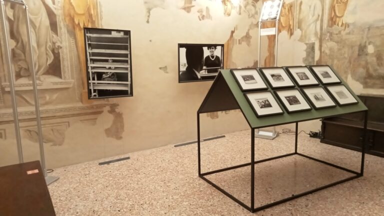 Elliott Erwitt. Vintage, installation view at Villa Bassi Rathgeb, Abano Terme, 2023
