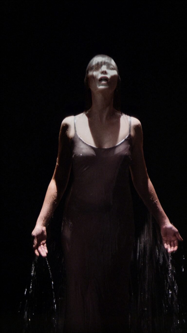 Bill Viola, Ocean Without a Shore, 2007