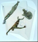 Fasi del nuoto,1960, ceramica invetriata e plexiglas. Courtesy Archivio Mancioli