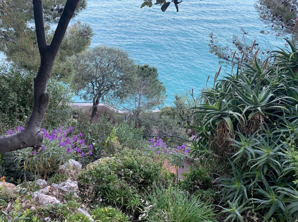 I giardini botanici del Principato di Monaco