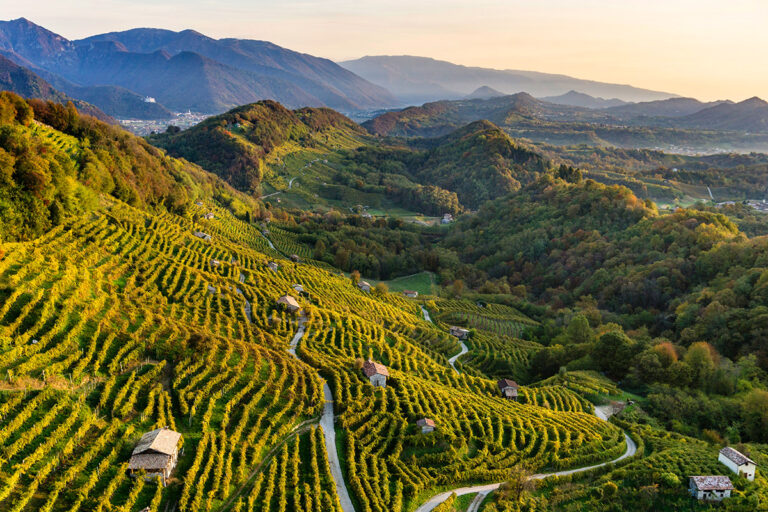 Le colline del Conegliano Valdobbiadene Prosecco Docg, photo Arcangelo Piai