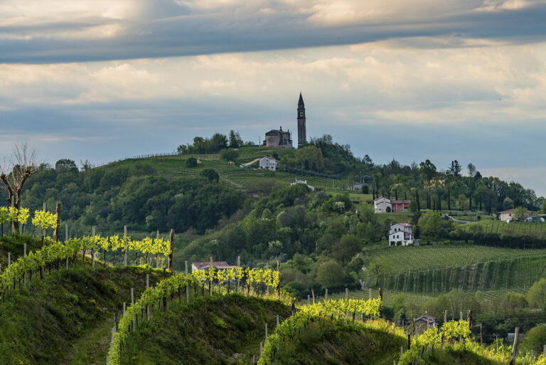 Le colline del Conegliano Valdobbiadene Prosecco Docg, photo Arcangelo Piai