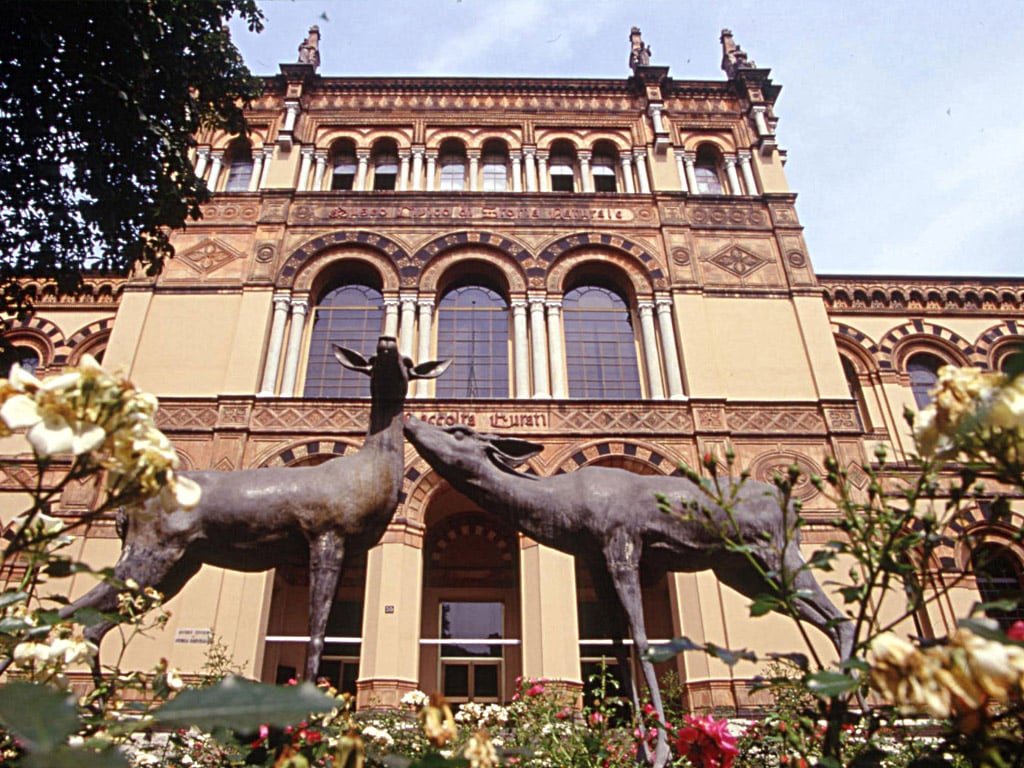 Museo di Storia Naturale di Milano © FAI