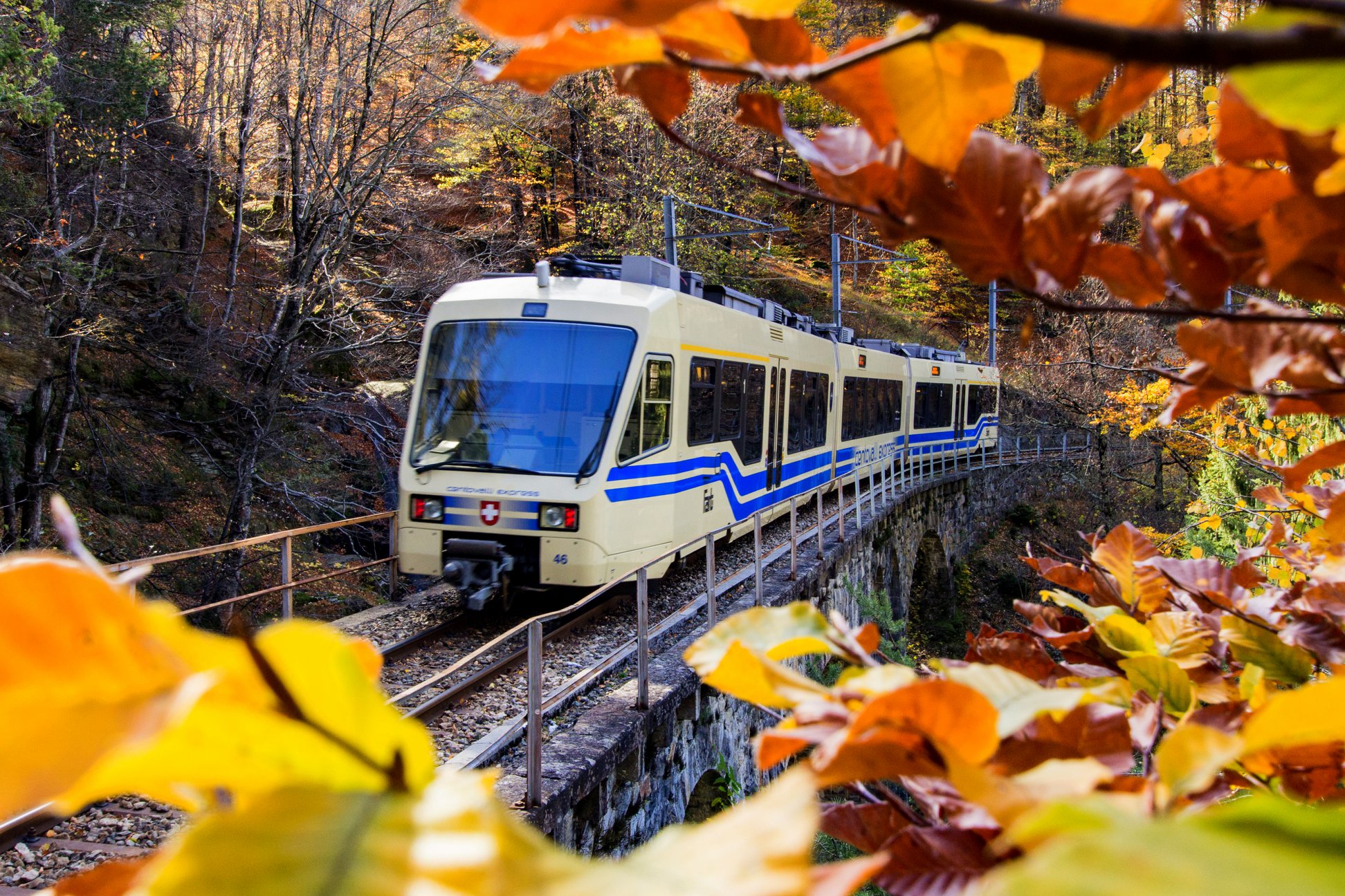 Treno delle Centovalli