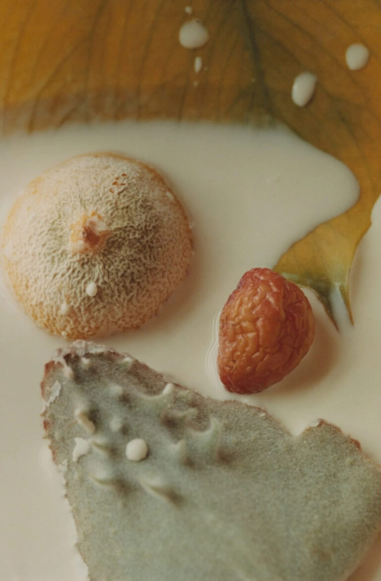 Arianna Lago, Fruit milk