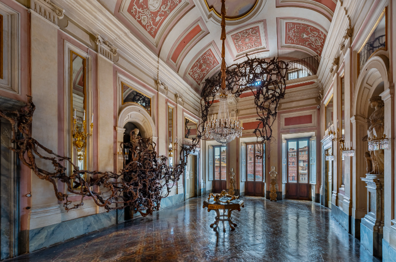 Siena: piante di vite per l’installazione di Paolo W. Tamburella a Palazzo Chigi Zondadari