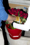 Diego Gelosi a Milano Cosa erano quelle rose rosse esposte lungo tutto Corso di Porta Romana a Milano?