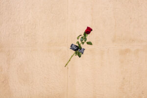 Cosa erano quelle rose rosse esposte lungo tutto Corso di Porta Romana a Milano?