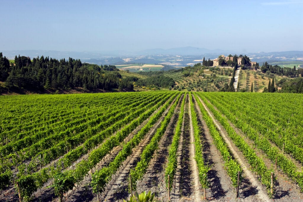 Tenuta Castelgiocondo - Frescobaldi, Montalcino