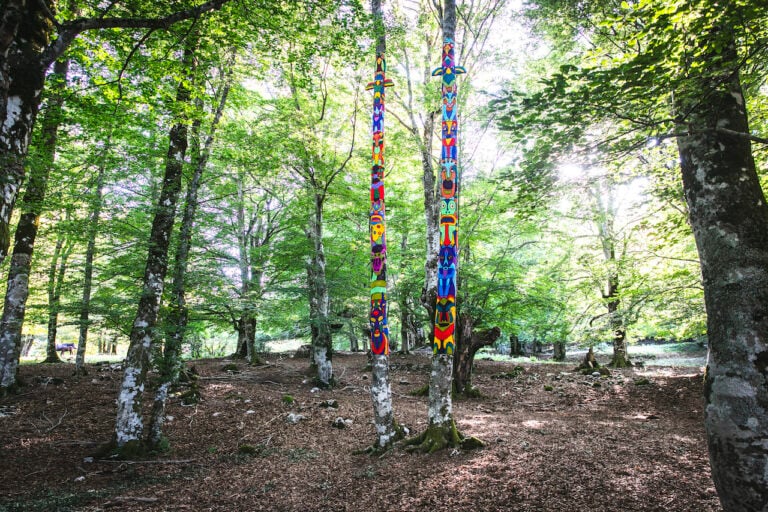 Accademia di Aracne, Totemi, ARTEPARCO, Parco Nazionale dell'Abruzzo 2023, Accademia di Aracne. Photo Luca Parisse