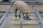 Formafantasma, Oltre Terra. Why wool matters, installation view at Museo Nazionale della Norvegia, Oslo, 2023