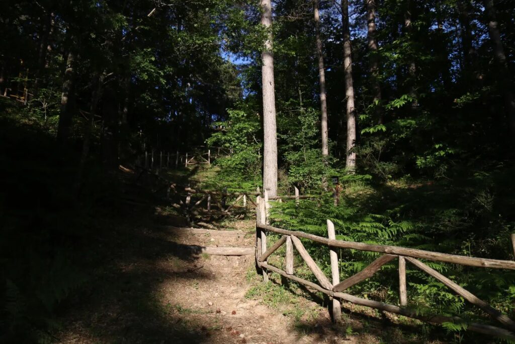 MABOS Museo d'Arte del Bosco della Sila