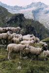 Val Seissa, Photo © Gregorio Gonella