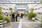 BiM Garden 21 A Milano c'è il BiM Fest: il festival che celebra la rigenerazione urbana del quartiere Bicocca