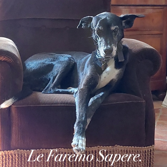 Daniele Milvio – Le Faremo Sapere