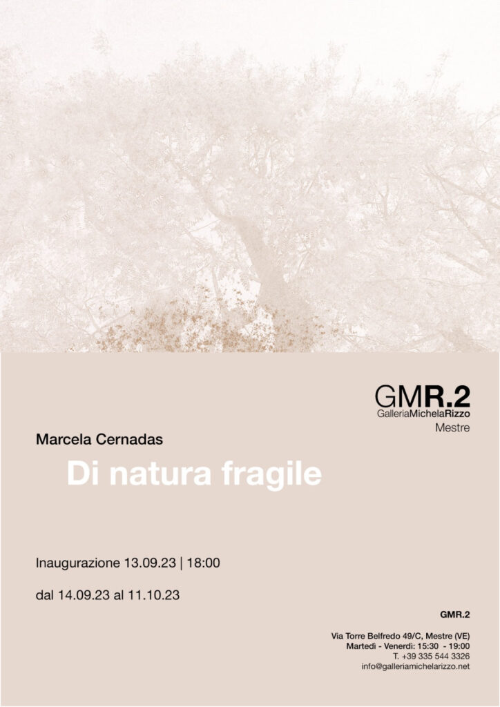 Marcela Cernadas – Di natura fragile