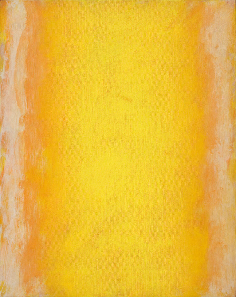 Claudio Verna, Cascata, 2009, acrilico su tela, 50 x 40 cm