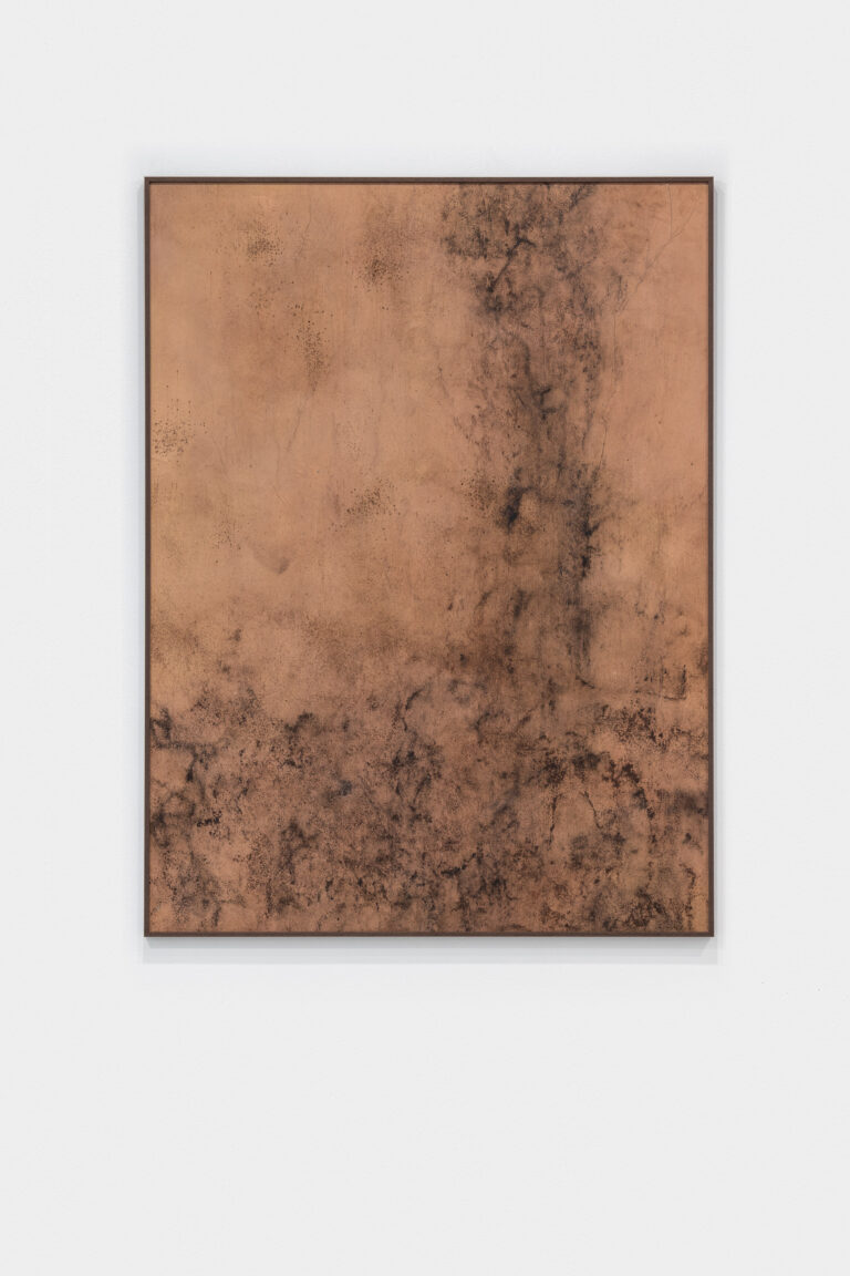 Silvia Infranco, Artemisia, 2023, ossidi, pigmenti su carta, 100x75 cm